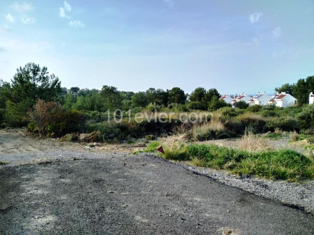 A magnificent equivalent land plot in Kyrenia Edremit is stg 10000 cheaper per decare than similar ones, moreover, cash plus an apartment or a villa ** 