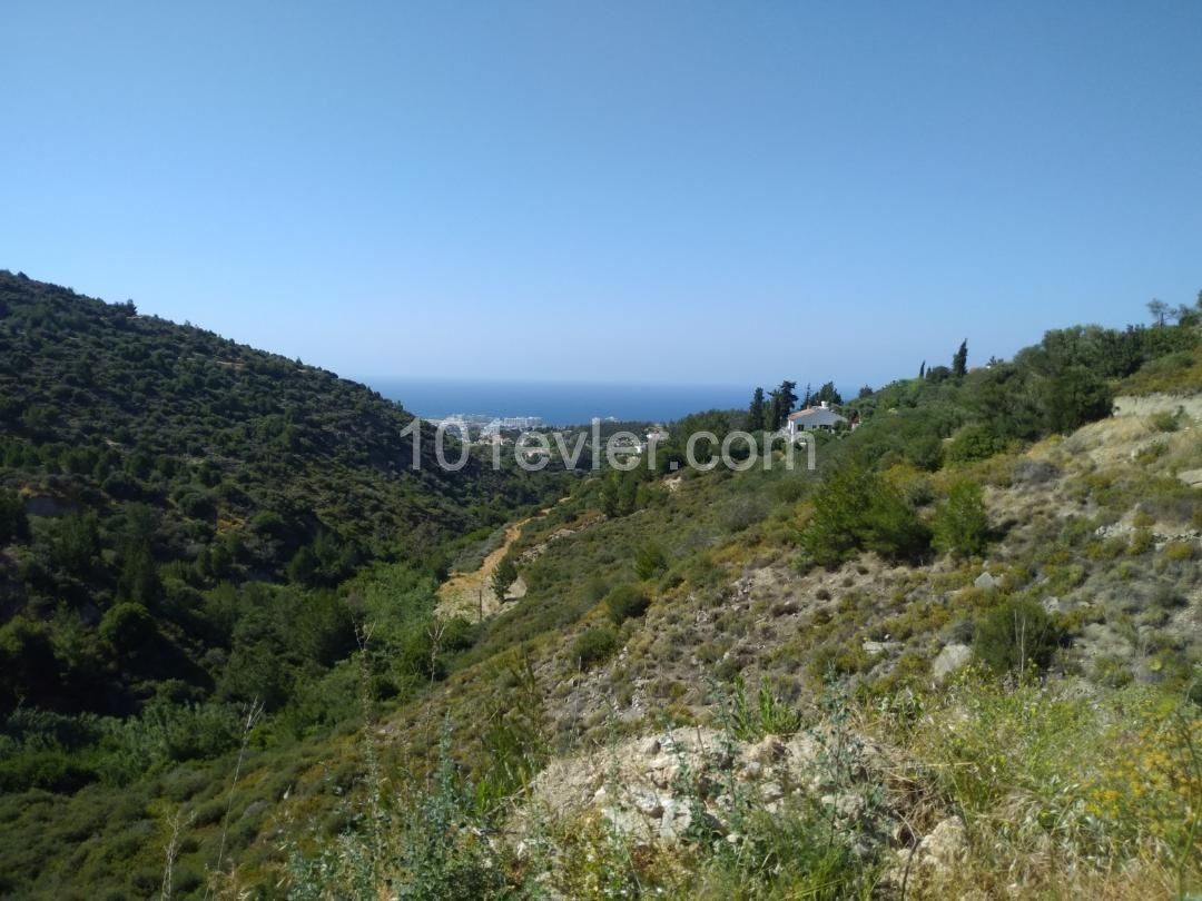 Kyrenia Alsancak, on the ILgaz road, with a magnificent view, an equivalent plot of land, right on the asphalt decking ** 