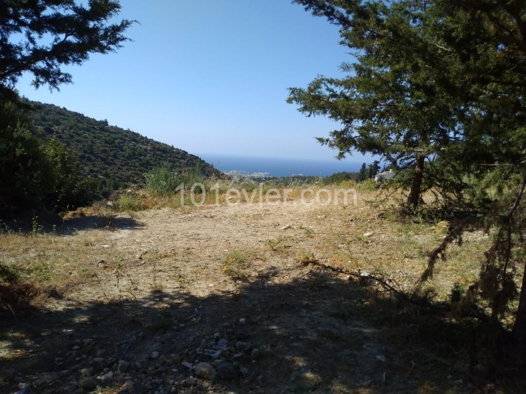 Girne Alsancak, ILgaz yolu üzerinde, muhteşem   manzaralı, eşdeğer arsa, hemen asfalt kenarında