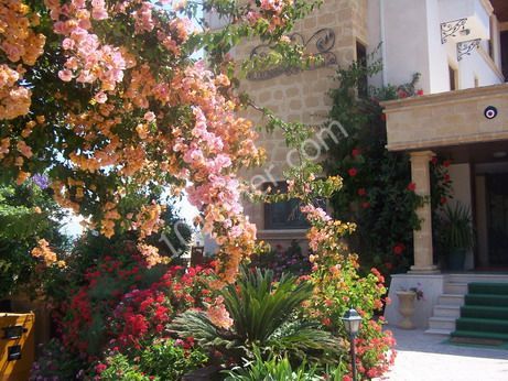 Hotel Kaufen in Girne Merkez, Kyrenia