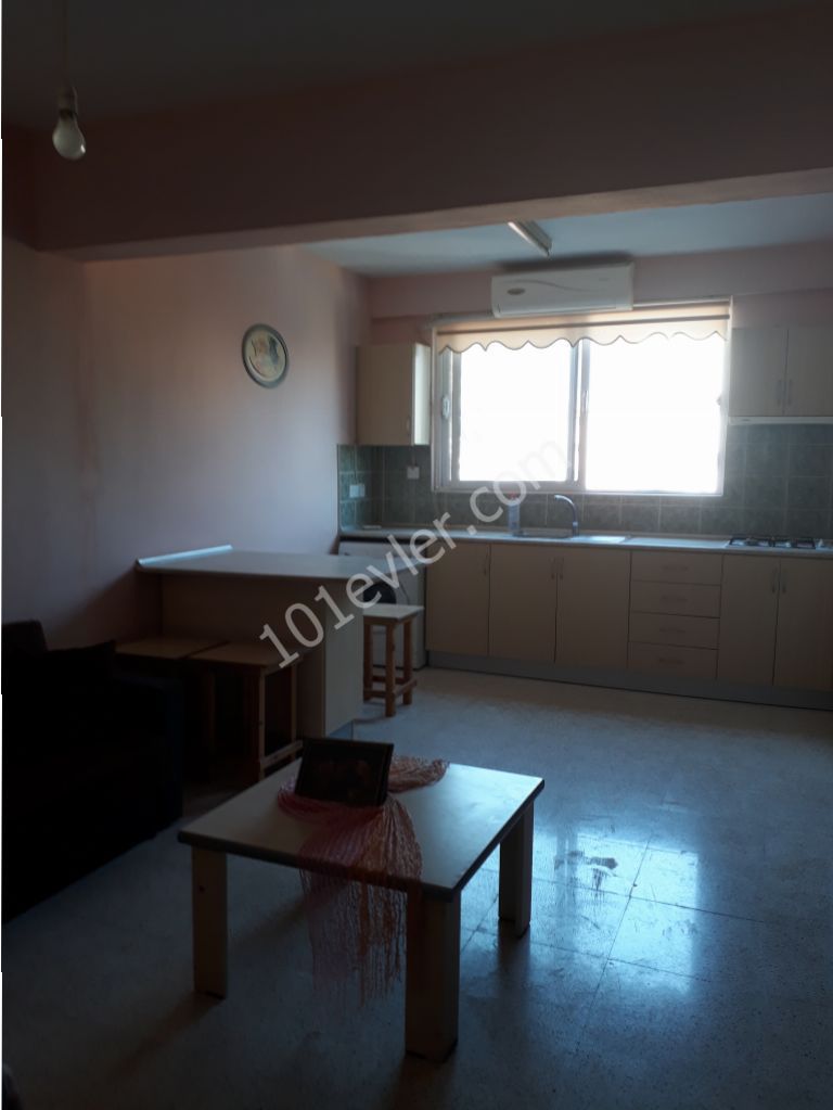 Flat To Rent in Marmara, Nicosia