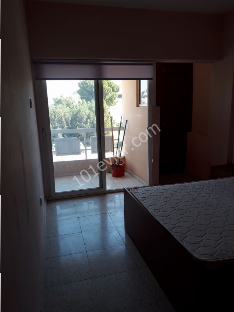 Flat To Rent in Marmara, Nicosia