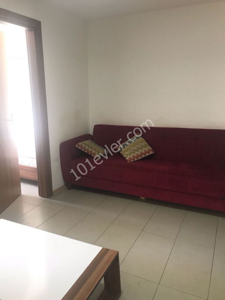 (2+1) flat for rent in Nicosia,with good equipment very close to bus stops and Dereboyu Africans are welcome !