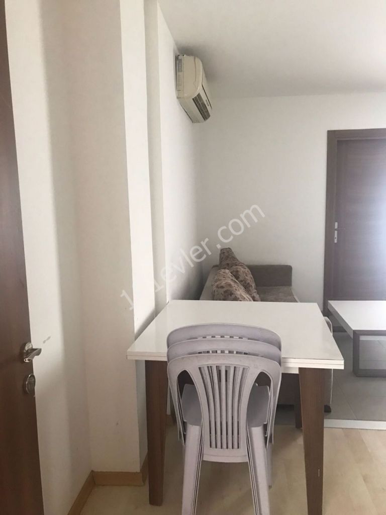 (2+1) flat for rent in Nicosia,with good equipment very close to bus stops and Dereboyu Africans are welcome !