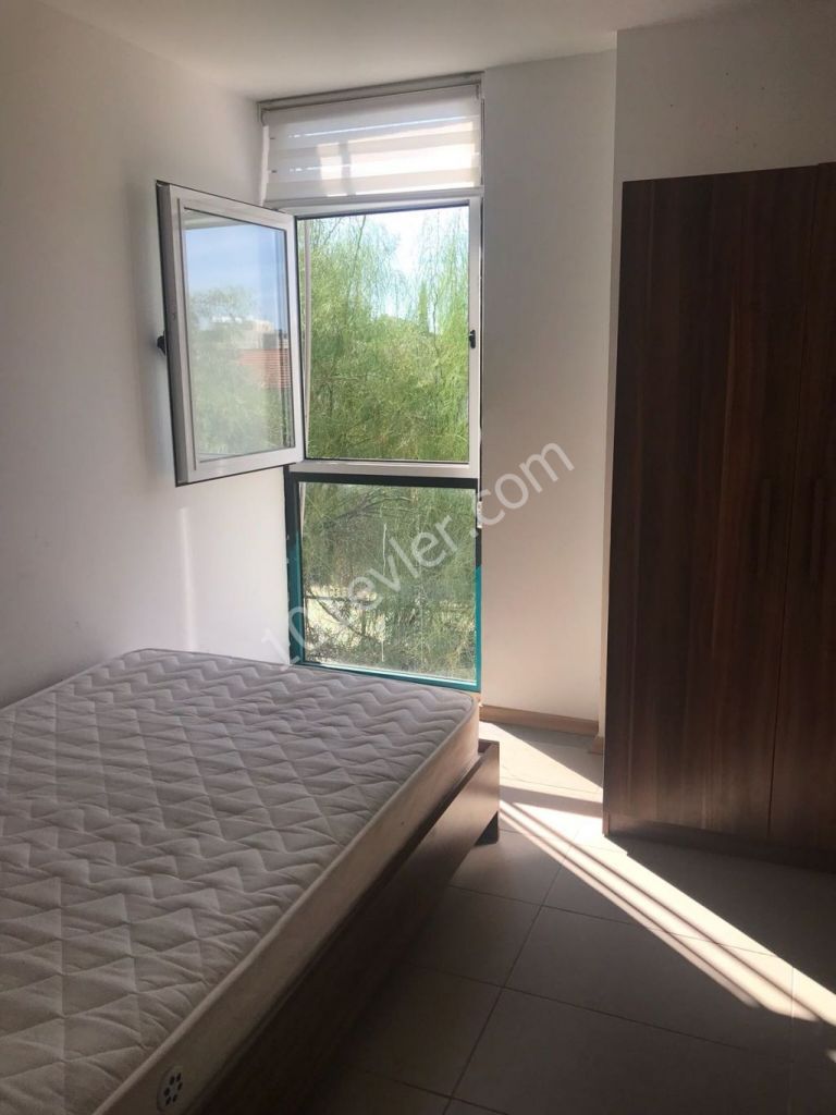 (2+1) flat for rent in Nicosia,with good equipment very close to bus stops and Dereboyu Africans are welcome !