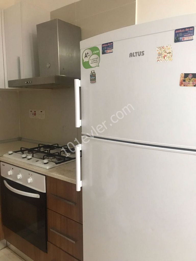 (2+1) flat for rent in Nicosia,with good equipment very close to bus stops and Dereboyu Africans are welcome !