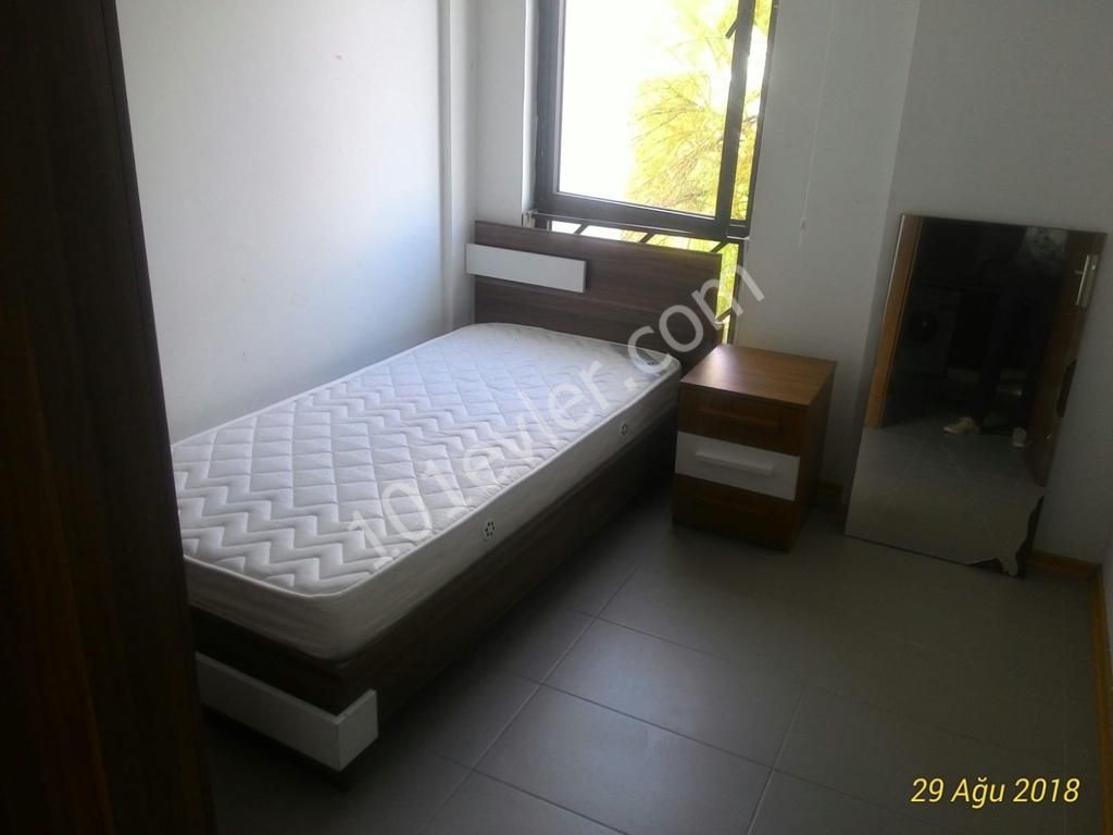 (2+1) flat for rent in Nicosia,with good equipment very close to bus stops and Dereboyu Africans are welcome !