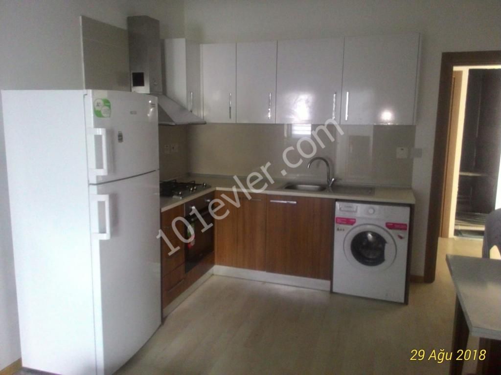 (2+1) flat for rent in Nicosia,with good equipment very close to bus stops and Dereboyu Africans are welcome !