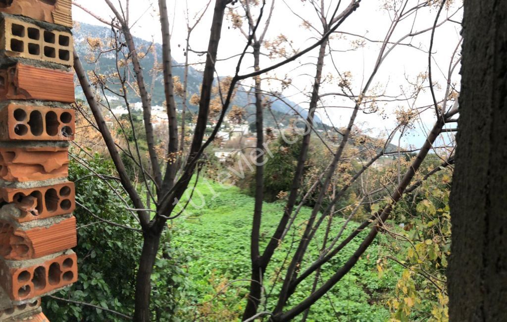 Unfertiges Gebäude Kaufen in Lapta, Kyrenia