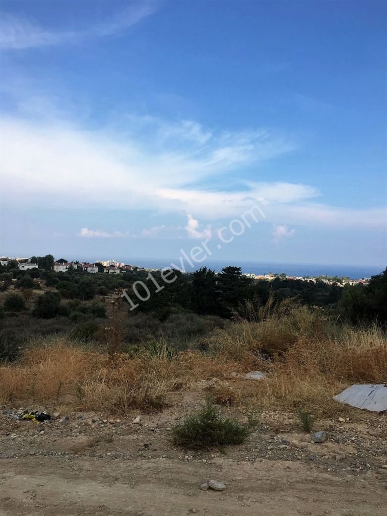 Villa For Sale in Yeşiltepe, Kyrenia