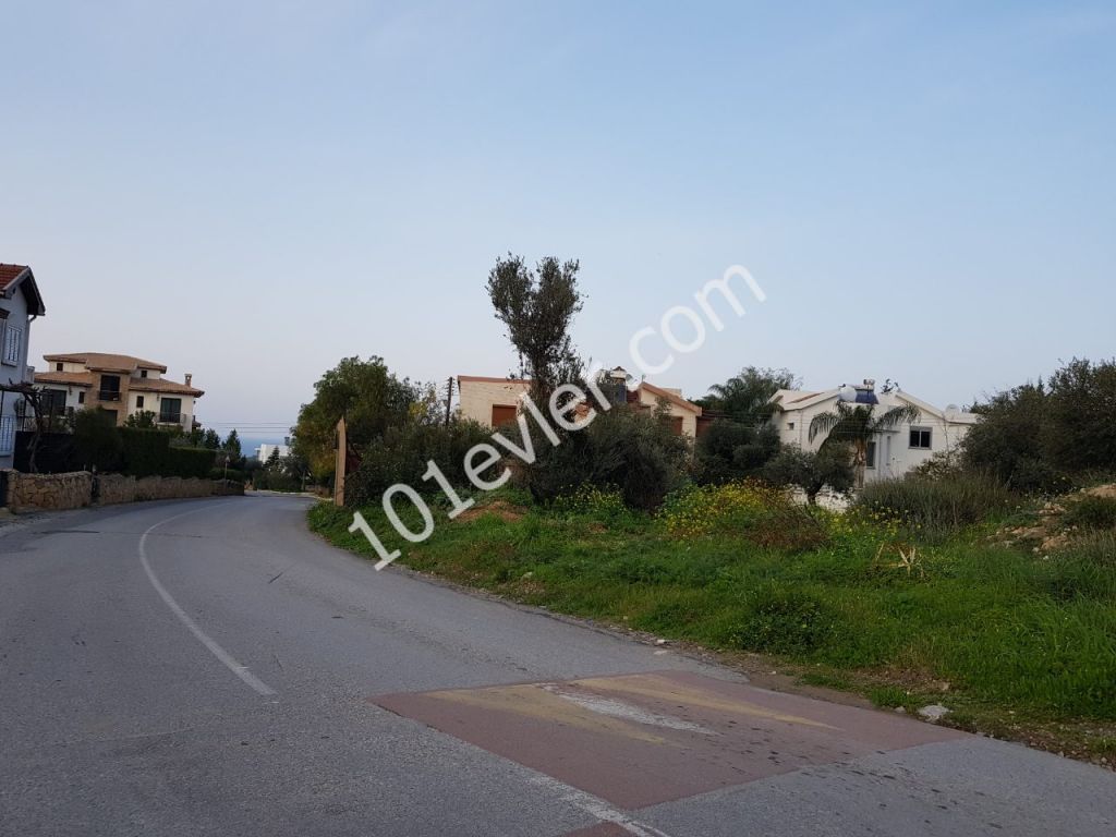 GİRNE /ZEYTİNLİKTE SATILIK TÜRK TAPULU  (7500 M2 )  VİLLALIK  ARAZİ