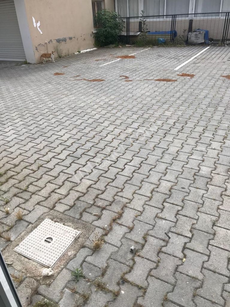 Dereboyu'nda Müthiş Lokasyonda Sende Katlı (270 m2) İş Yeri