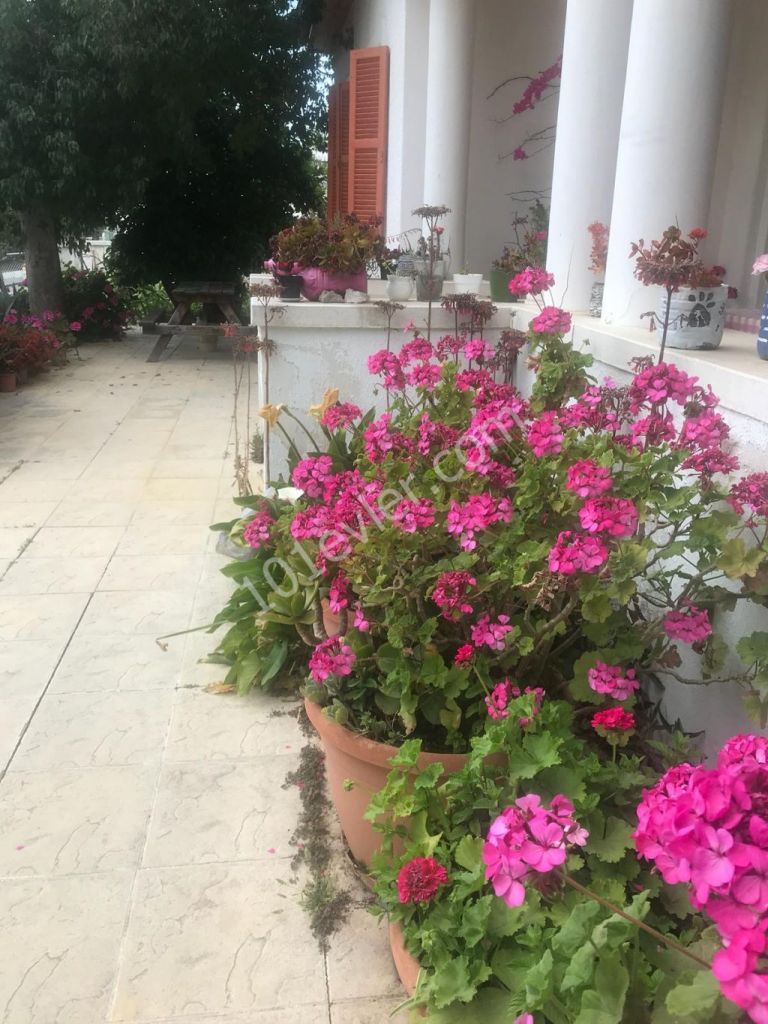 Detached House To Rent in Çağlayan, Nicosia