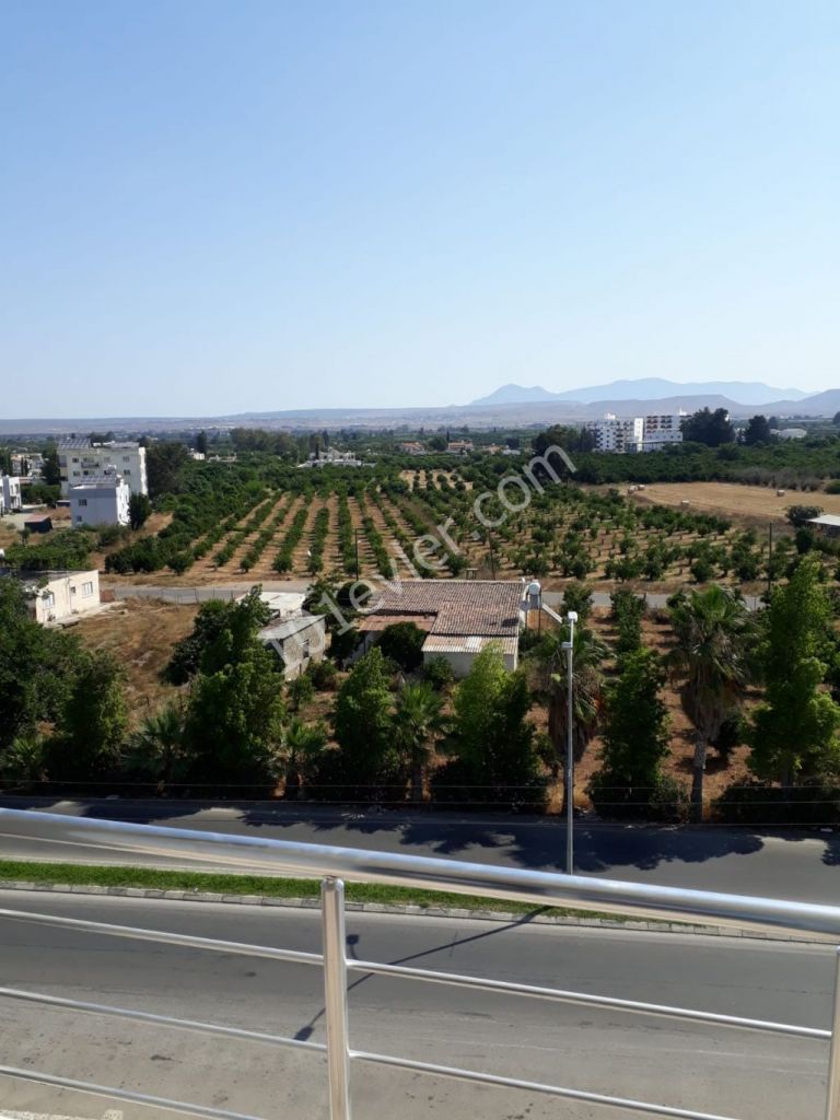 تخت برای اجاره in Güzelyurt Merkez, گوزلیورت