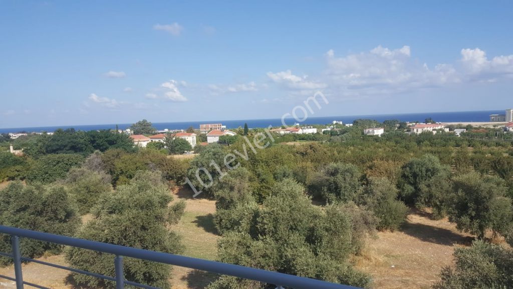 Flat To Rent in Alsancak, Kyrenia