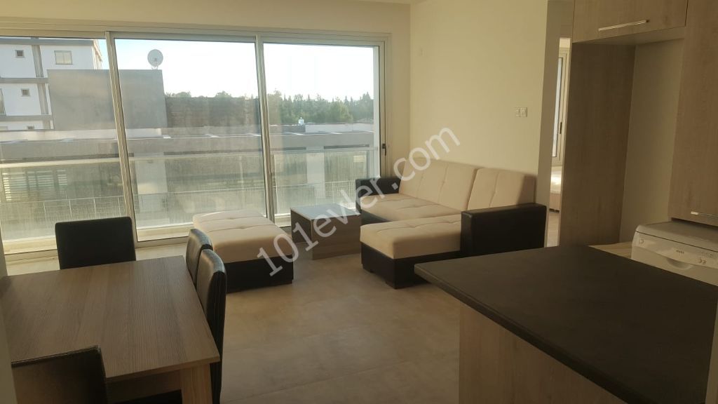 For Rent Fully Furnished Luxury 2 Bedroom Flats in Dereboyu.