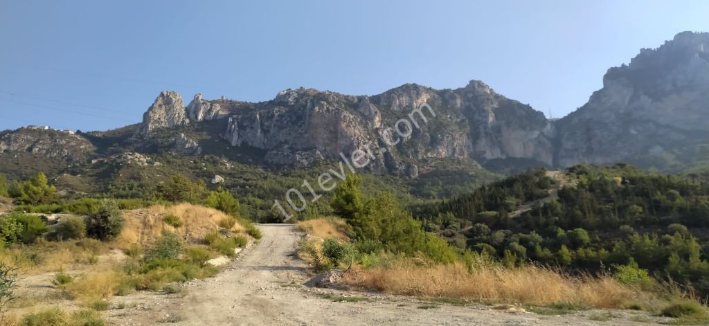 Zeytinlik'te Muhteşem Konumda Türk Malı, Dağ Ve Deniz Manzaralı Yolu Mevcut Satılık Arazi