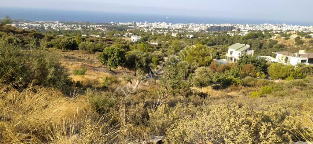 Zeytinlik'te Muhteşem Konumda Türk Malı, Dağ Ve Deniz Manzaralı Yolu Mevcut Satılık Arazi