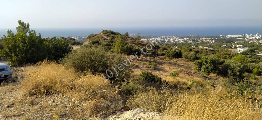 Zeytinlik'te Muhteşem Konumda Türk Malı, Dağ Ve Deniz Manzaralı Yolu Mevcut Satılık Arazi