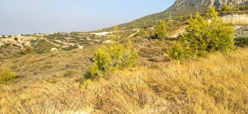 Residential Zoned Plot For Sale in Zeytinlik, Kyrenia