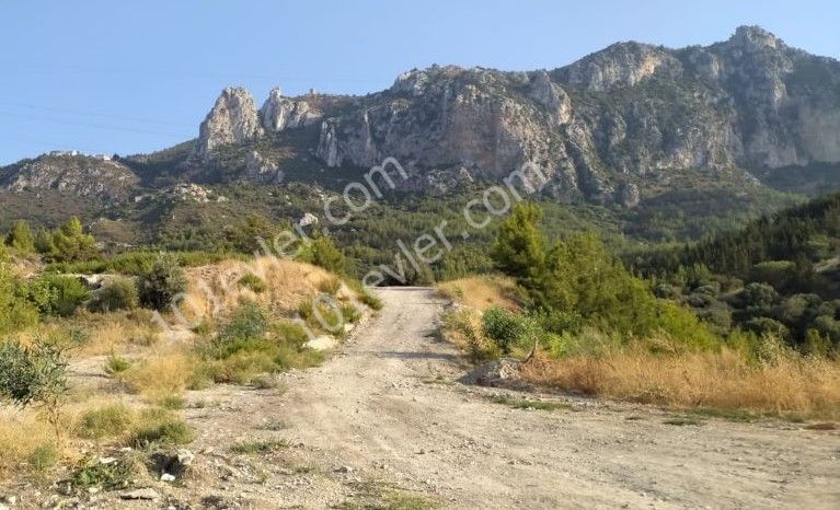 Residential Zoned Plot For Sale in Zeytinlik, Kyrenia