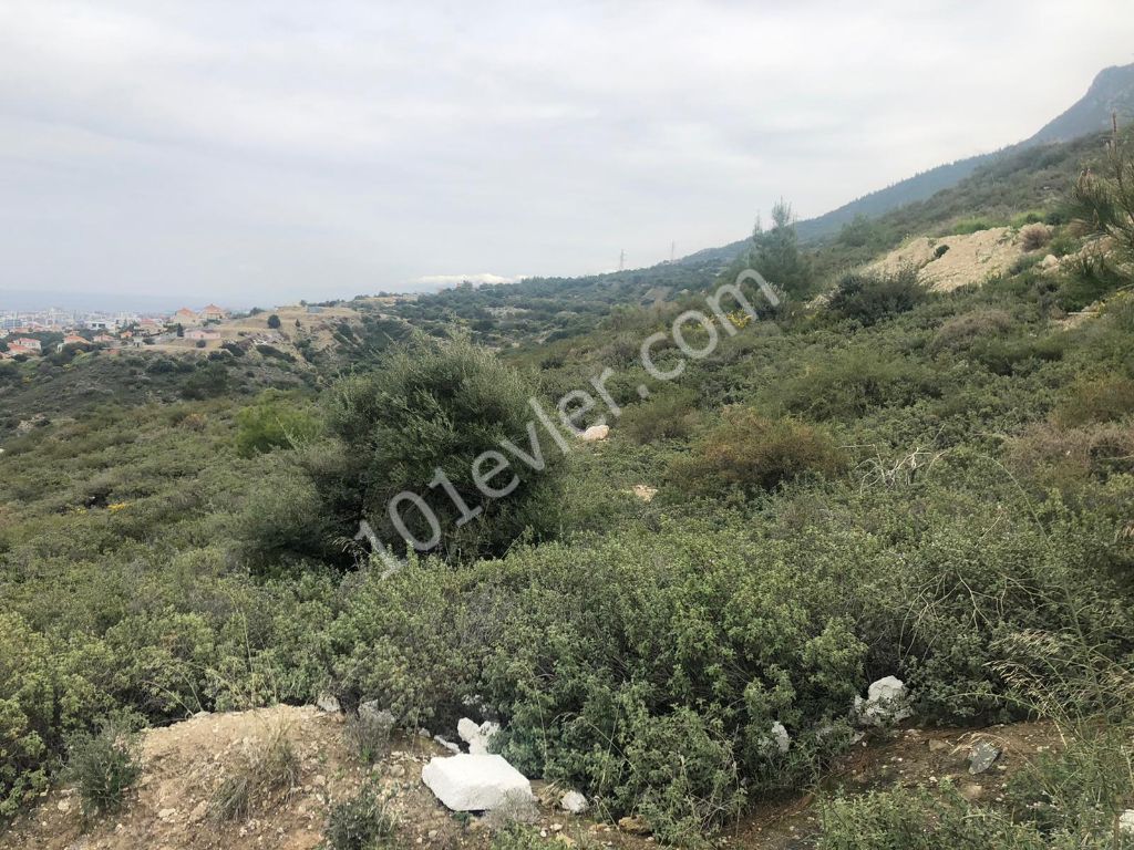 Residential Zoned Plot For Sale in Zeytinlik, Kyrenia