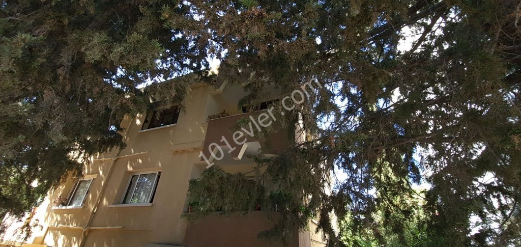 >>> 0533 843 6914 - Bugra Unku For Complete Building / Information Consisting of 4 2 + 1 Apartments on Milk in a Perfect Location with Esdeger Kocanli in the Center of Kyrenia >>> 0533 843 6914 ** 