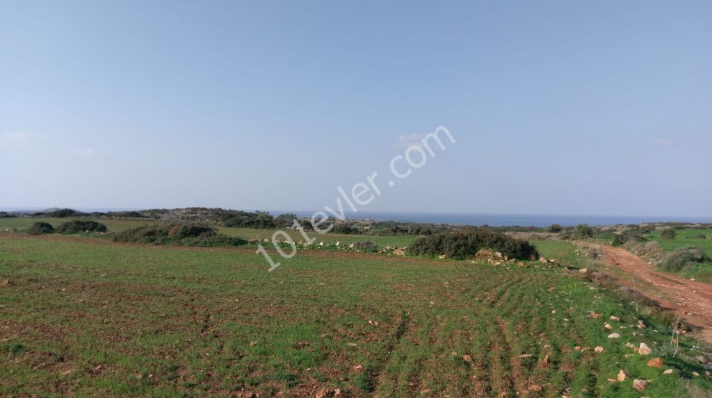 Iskele Yeni is a Land with an Open Sea and Mountain View in an Amazing Location in Erenkoy! ** 