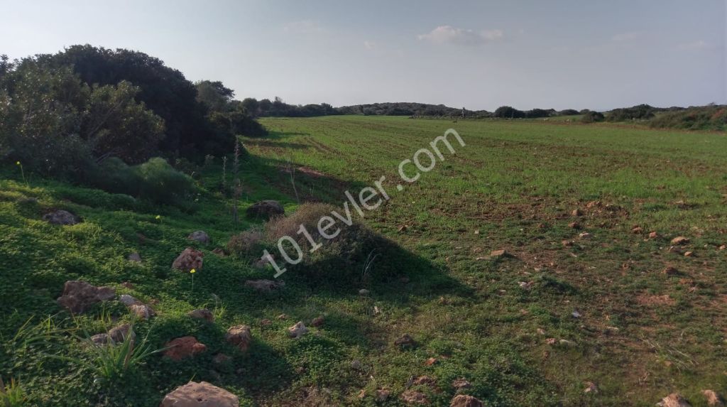 İskele Yeni Erenköy'de Müthiş Konumda İmara Açık Deniz ve Dağ Manzaralı Arazi !