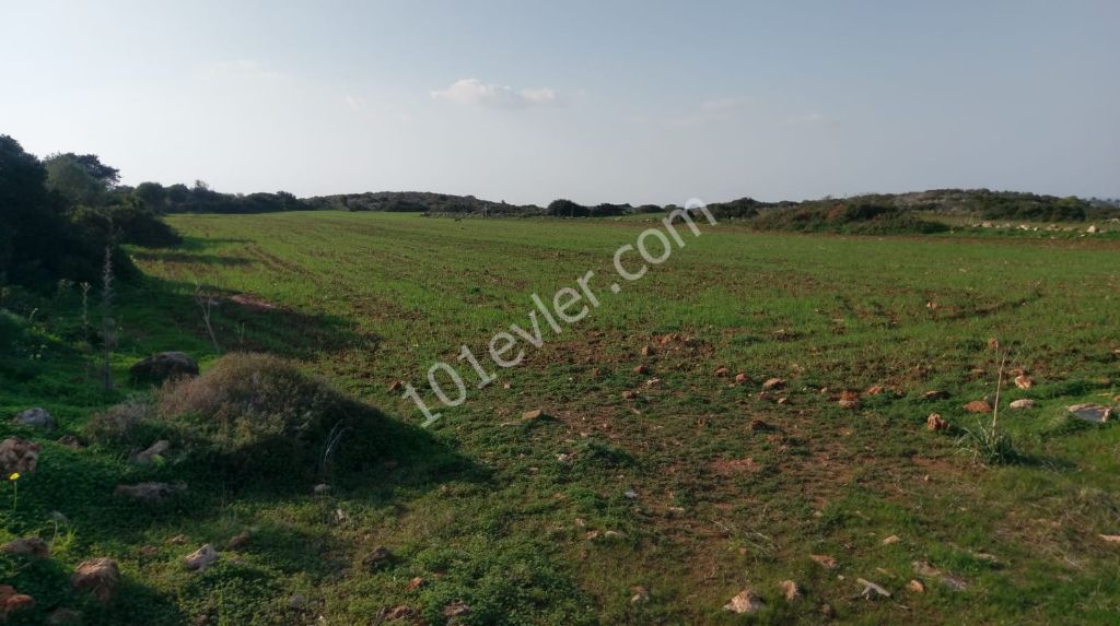 İskele Yeni Erenköy'de Müthiş Konumda İmara Açık Deniz ve Dağ Manzaralı Arazi !