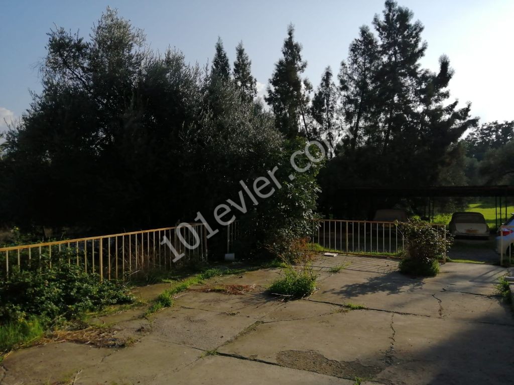 Flat For Sale in Lefke, Lefke