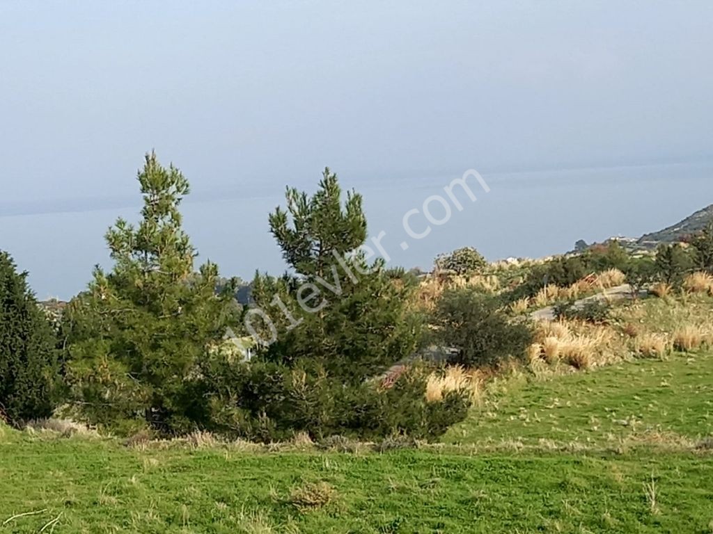 Lefke -Land for Sale in Yeşilırmak with a Turkish Title, Open to All Types of Construction! The Infrastructure Is Ready (Open for Exchange With Nicosia Villa) ** 