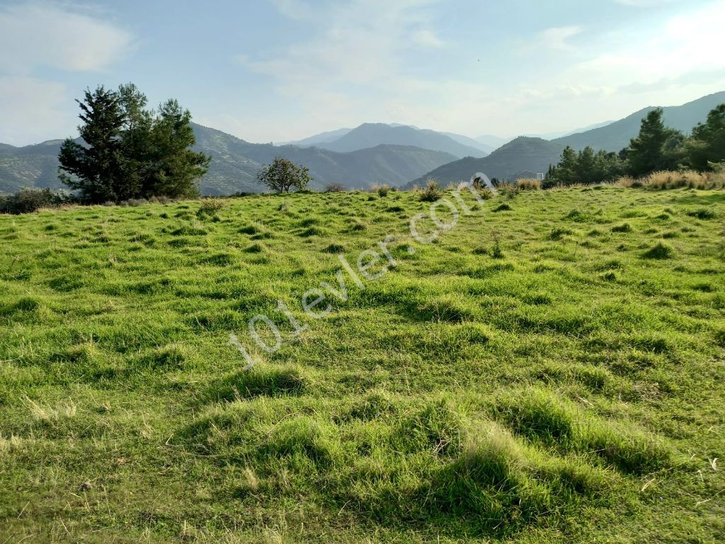 Lefke -Yeşilırmak'ta Türk Tapulu , Her Türlü İmara Açık Satılık Arazi ! ( Lefkoşadan Villa İle Takasa Açık) Altyapısı  Hazır