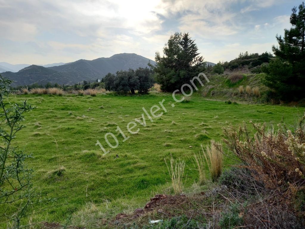 Lefke -Land for Sale in Yeşilırmak with a Turkish Title, Open to All Types of Construction! The Infrastructure Is Ready (Open for Exchange With Nicosia Villa) ** 