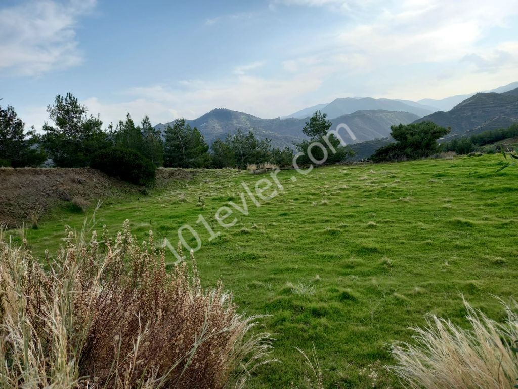 Lefke -Land for Sale in Yeşilırmak with a Turkish Title, Open to All Types of Construction! The Infrastructure Is Ready (Open for Exchange With Nicosia Villa) ** 