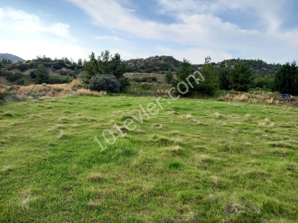 Lefke -Land for Sale in Yeşilırmak with a Turkish Title, Open to All Types of Construction! The Infrastructure Is Ready (Open for Exchange With Nicosia Villa) ** 