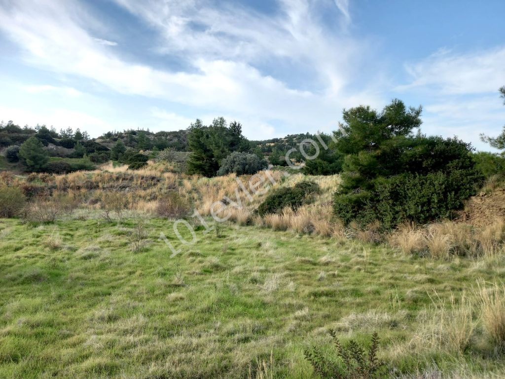 Lefke -Land for Sale in Yeşilırmak with a Turkish Title, Open to All Types of Construction! The Infrastructure Is Ready (Open for Exchange With Nicosia Villa) ** 