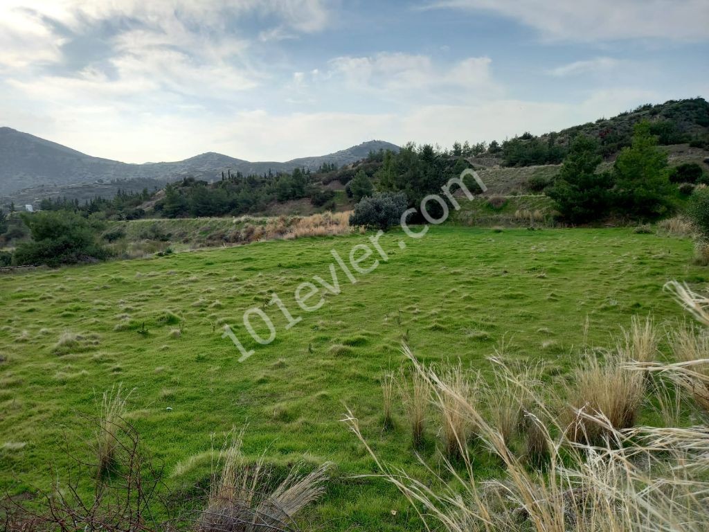 Lefke -Land for Sale in Yeşilırmak with a Turkish Title, Open to All Types of Construction! The Infrastructure Is Ready (Open for Exchange With Nicosia Villa) ** 