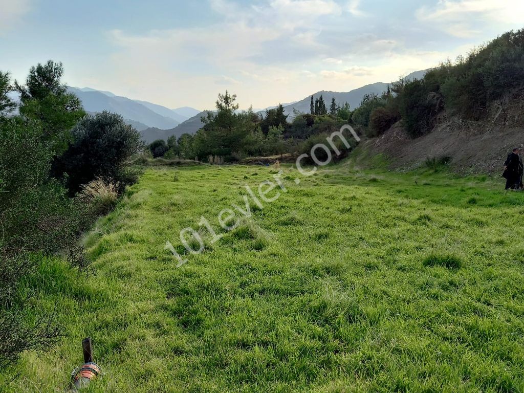 Lefke-Yesilirmak ta Türkische Tat , alle Arten von Land zum Verkauf offen für den Bau ! (Mit Der Villa Von Nikosia Zum Austausch Geöffnet) Die Infrastruktur Ist Bereit ** 