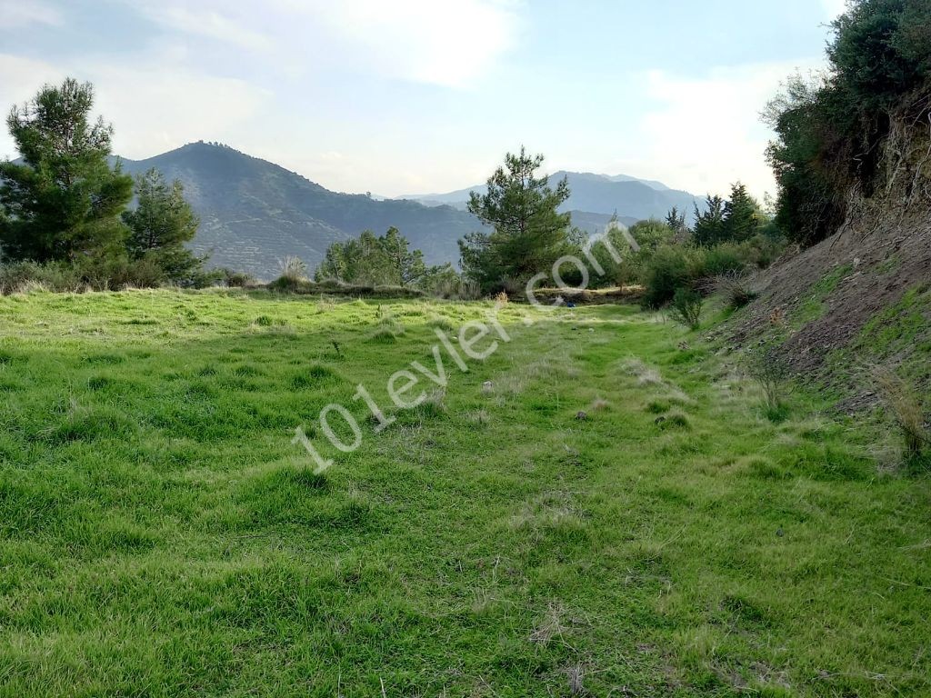 Lefke -Land for Sale in Yeşilırmak with a Turkish Title, Open to All Types of Construction! The Infrastructure Is Ready (Open for Exchange With Nicosia Villa) ** 