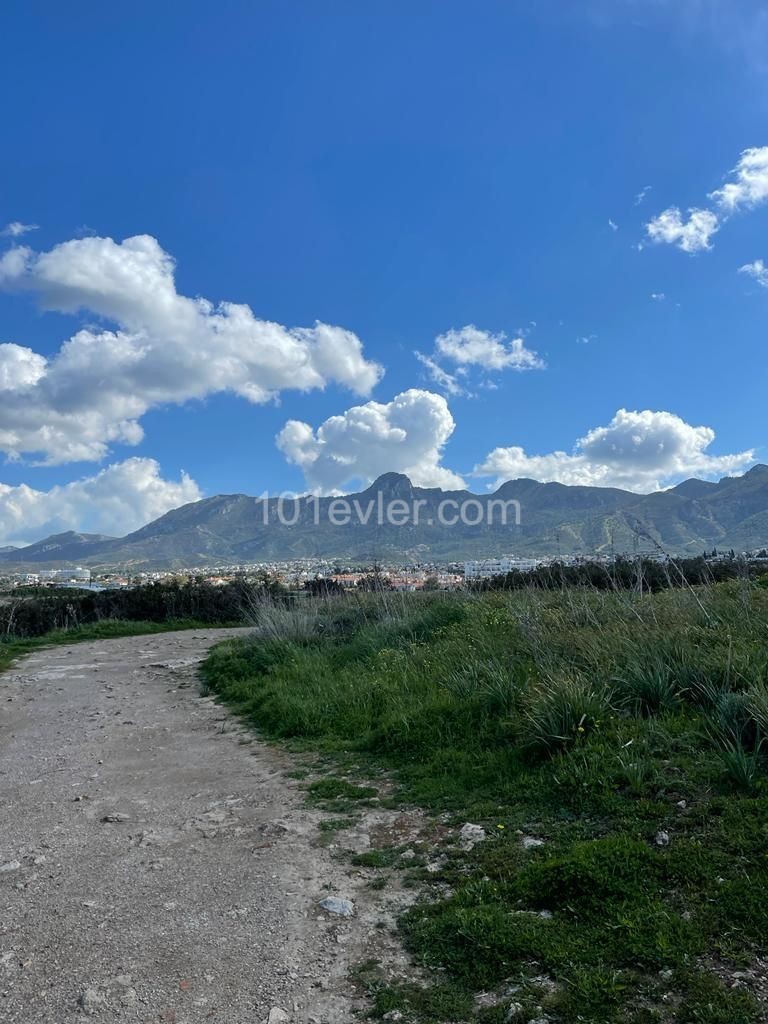 Land in Front of the Turkish Sea Land Near the Sea ** 