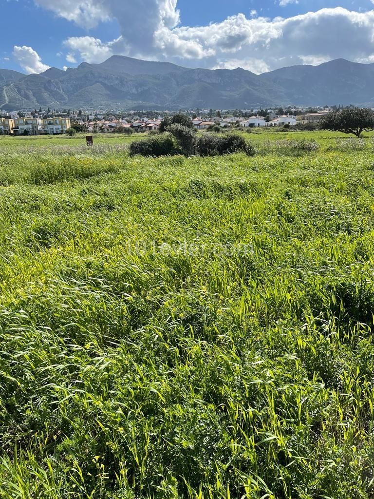 Land in Front of the Turkish Sea Land Near the Sea ** 