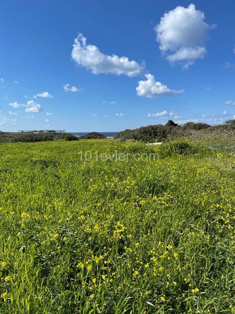 Land in Front of the Turkish Sea Land Near the Sea ** 