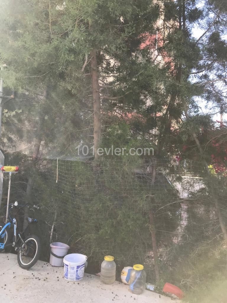 3+1 Ground Floor Flat for Sale in Gonyeli (Open for Exchange) ** 