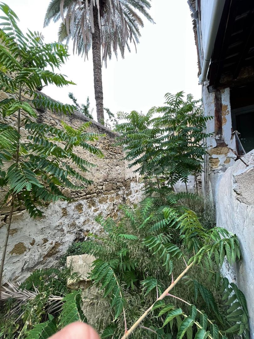 Komplett gemietetes Gartengebäude in zentraler Lage in der Stadtmauer ** 