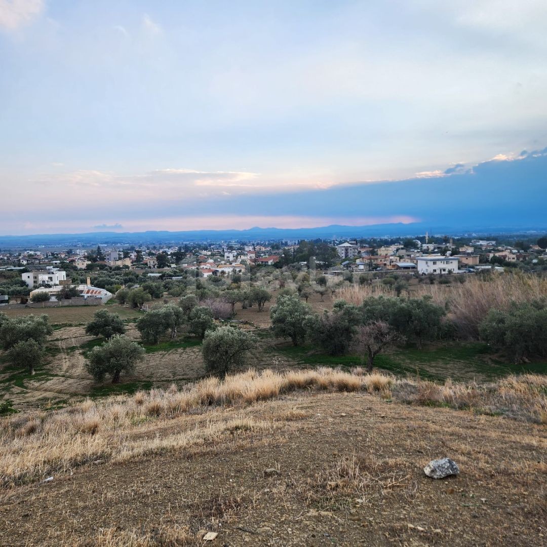 منطقه مسکونی برای فروش in Değirmenlik, نیکوزیا