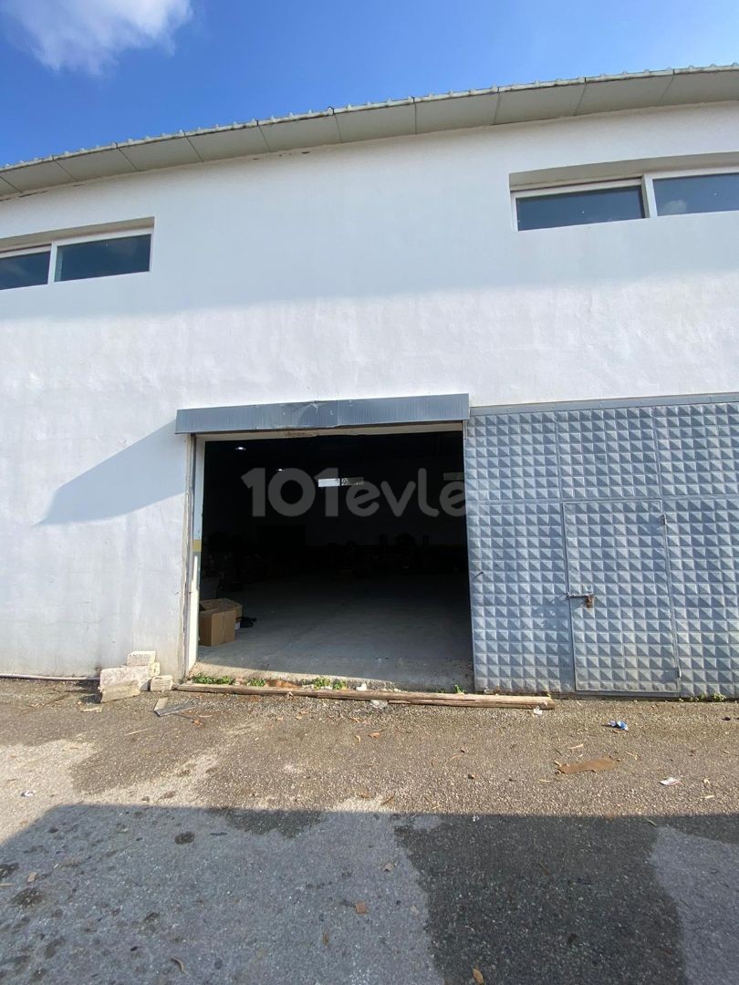 Warehouse for Rent in Haspolat Industrial Zone