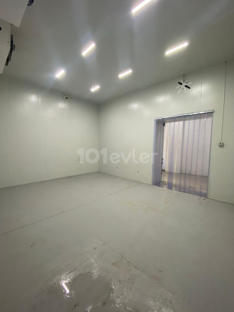 Cold Storage for Rent in Nicosia Industrial Zone