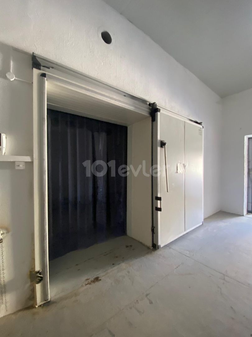 Cold Storage for Rent in Nicosia Industrial Zone