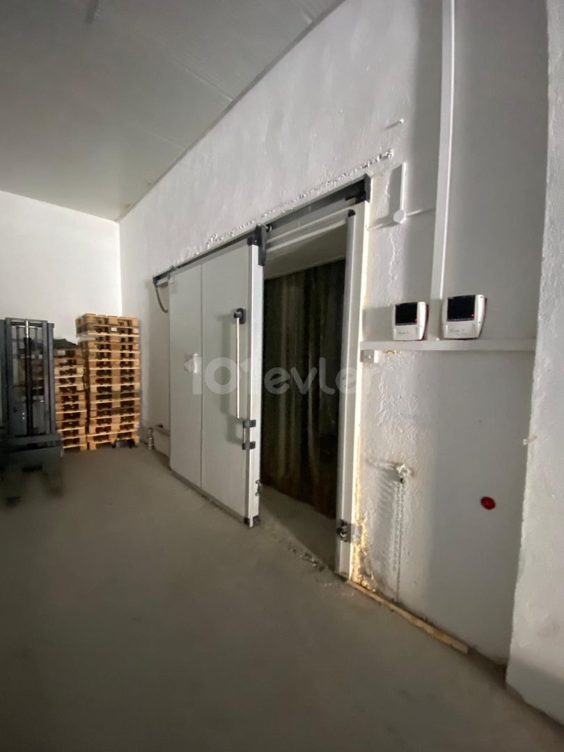 Cold Storage for Rent in Nicosia Industrial Zone